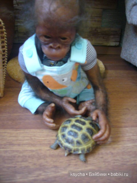 Наша Барби и — Куклы Annette Himstedt (Аннетт Химстедт): коллекционные