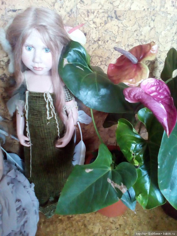 Мой домашний сад, где живут эльфы (фото 9)