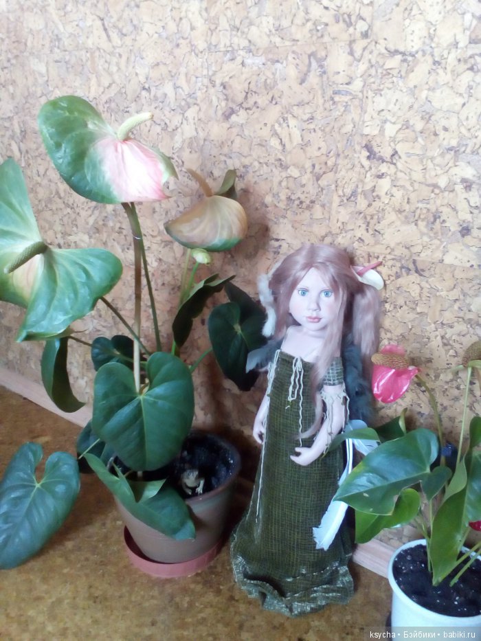 Мой домашний сад, где живут эльфы (фото 4)