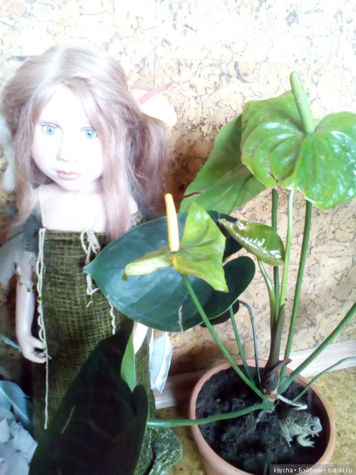 Мой домашний сад, где живут эльфы