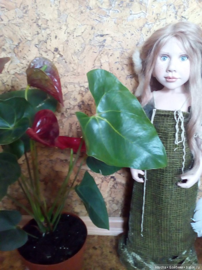 Мой домашний сад, где живут эльфы