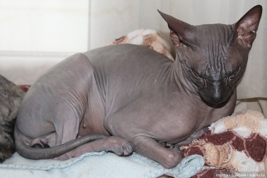 Марс...космос у меня дома:) (фото 3)