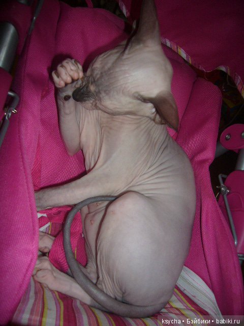 Марс...космос у меня дома:) (фото 5)