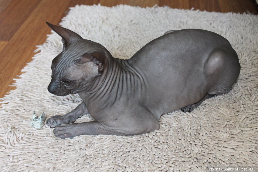 Марс...космос у меня дома:) (фото 4)