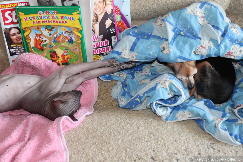 Марс...космос у меня дома:) (фото 9)