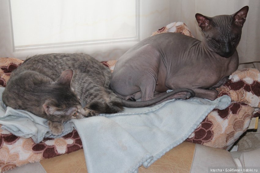 Марс...космос у меня дома:) (фото 2)