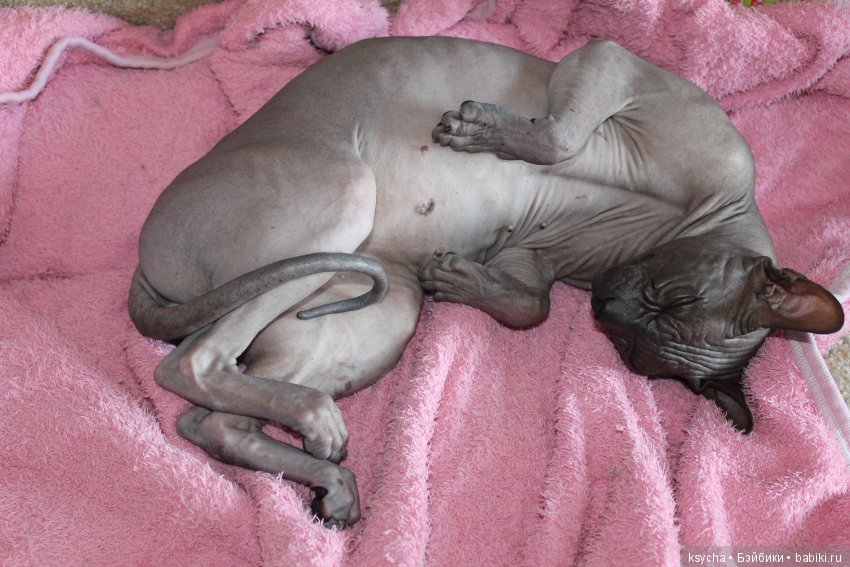 Марс...космос у меня дома:) (фото 10)