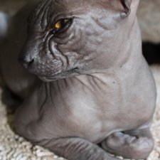 Марс...космос у меня дома:)