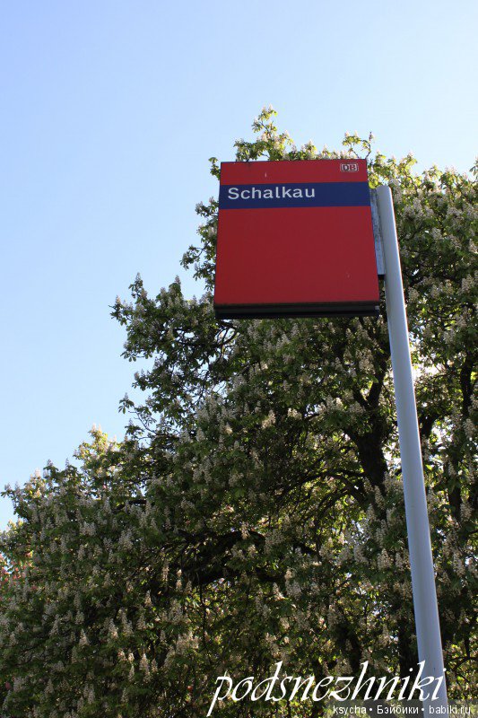 Кое что о Николь Маршоллек Менцнер,автора кукол Zwergnase (фото 2)