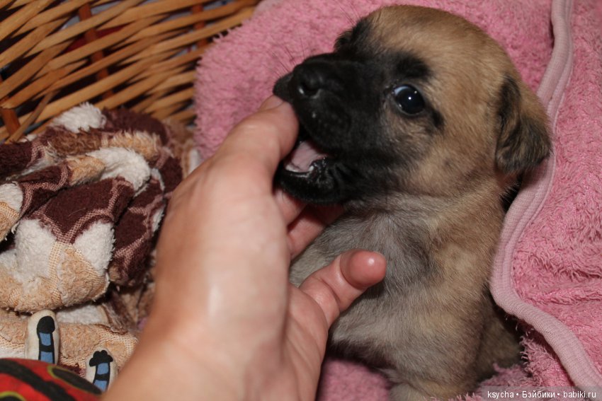 А у нас опять двадцать пять (фото 8)