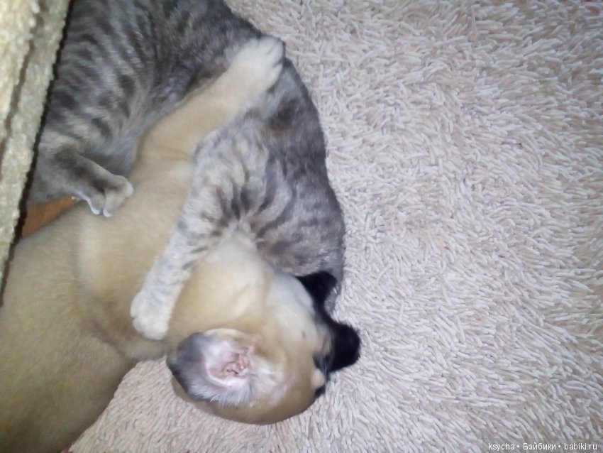 А у нас опять двадцать пять