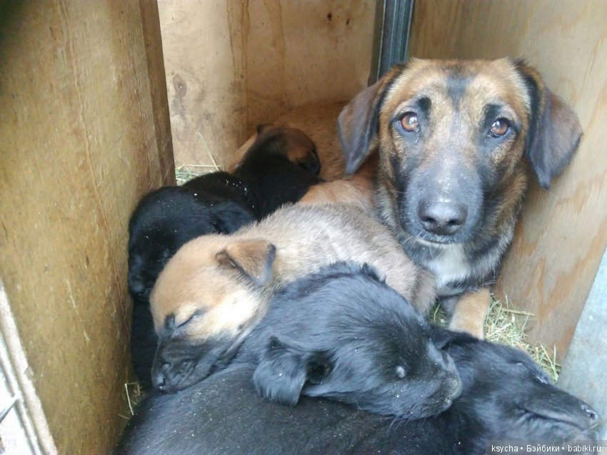 А у нас опять двадцать пять (фото 6)