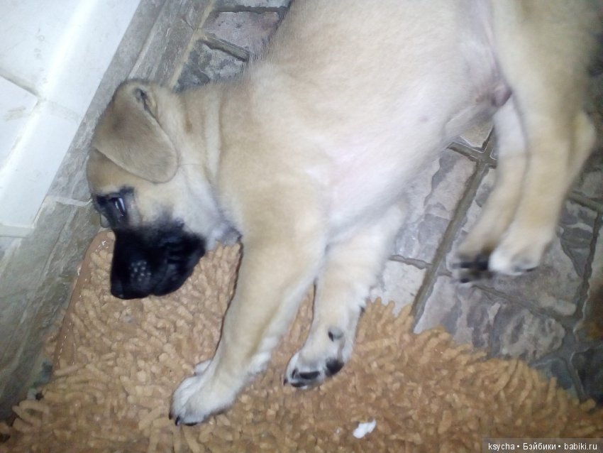 А у нас опять двадцать пять