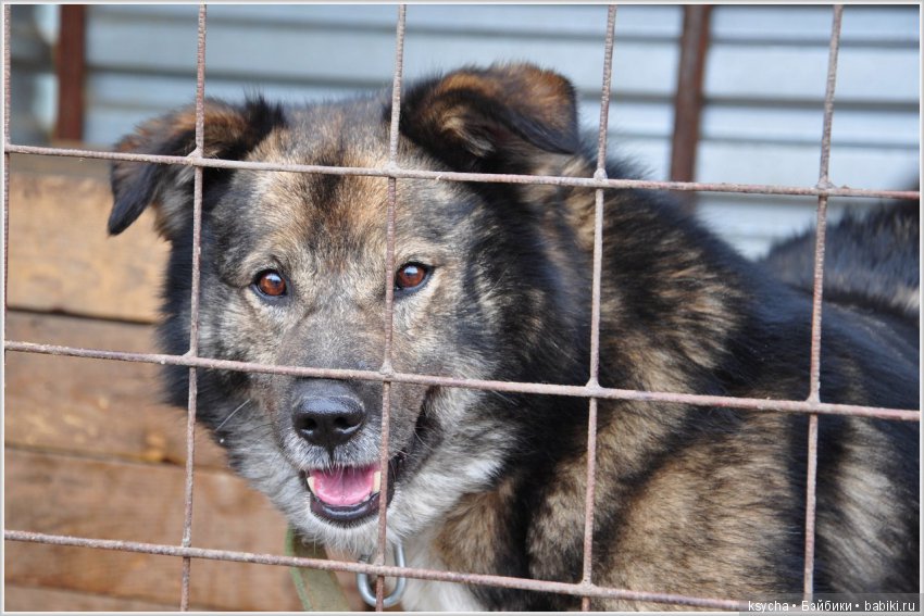А у нас опять двадцать пять (фото 4)