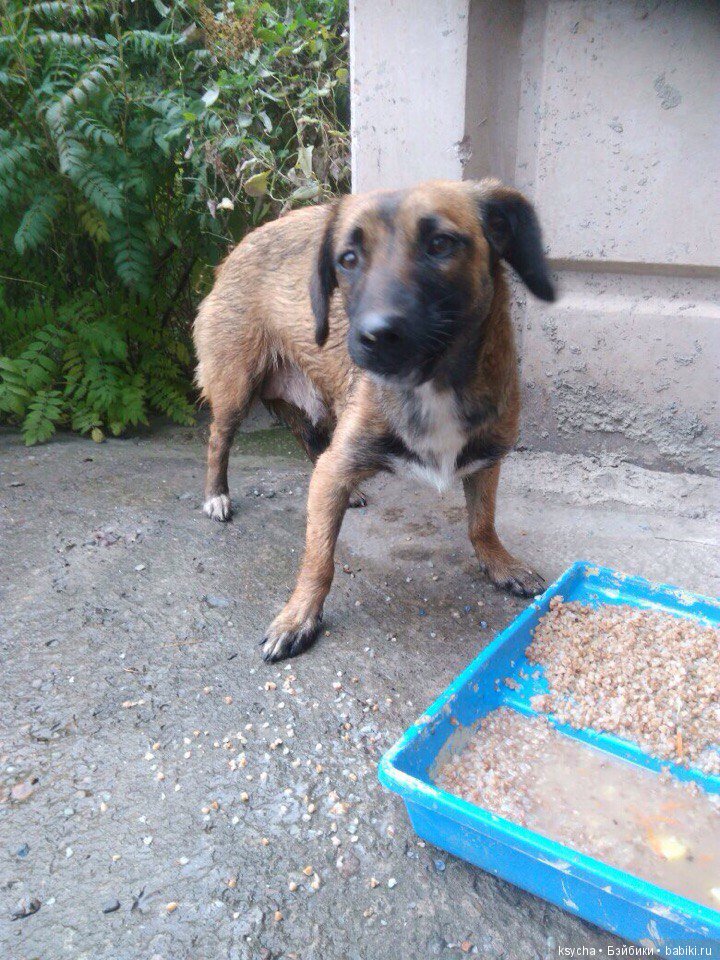 А у нас опять двадцать пять (фото 5)