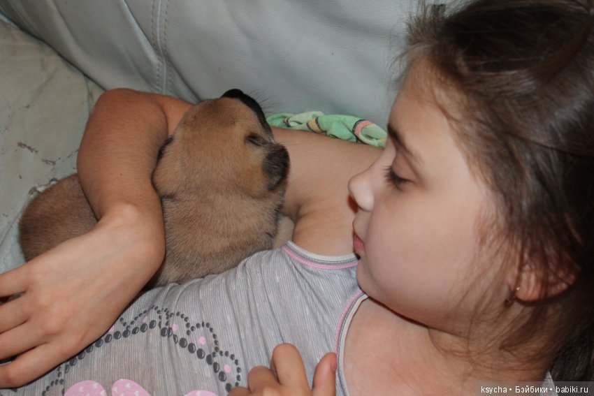 А у нас опять двадцать пять (фото 9)