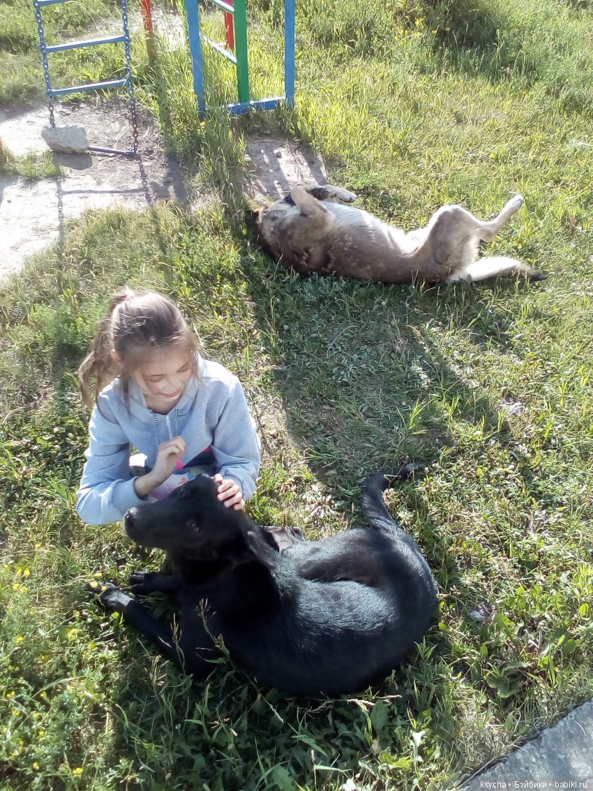 А у нас опять двадцать пять