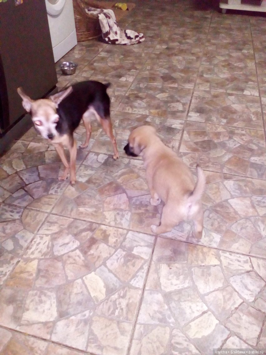 А у нас опять двадцать пять