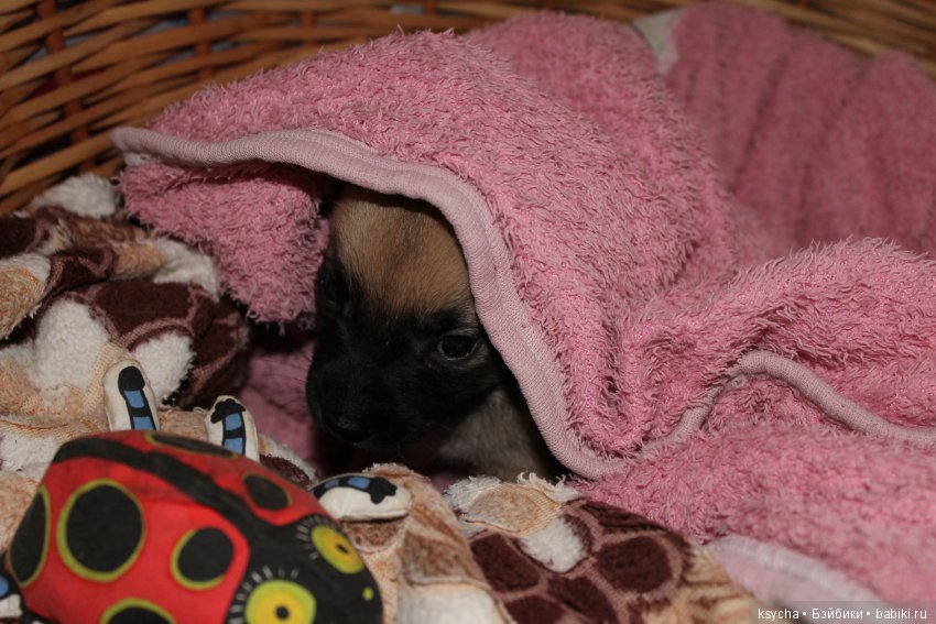 А у нас опять двадцать пять (фото 7)