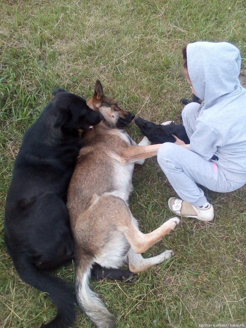 А у нас опять двадцать пять (фото 2)