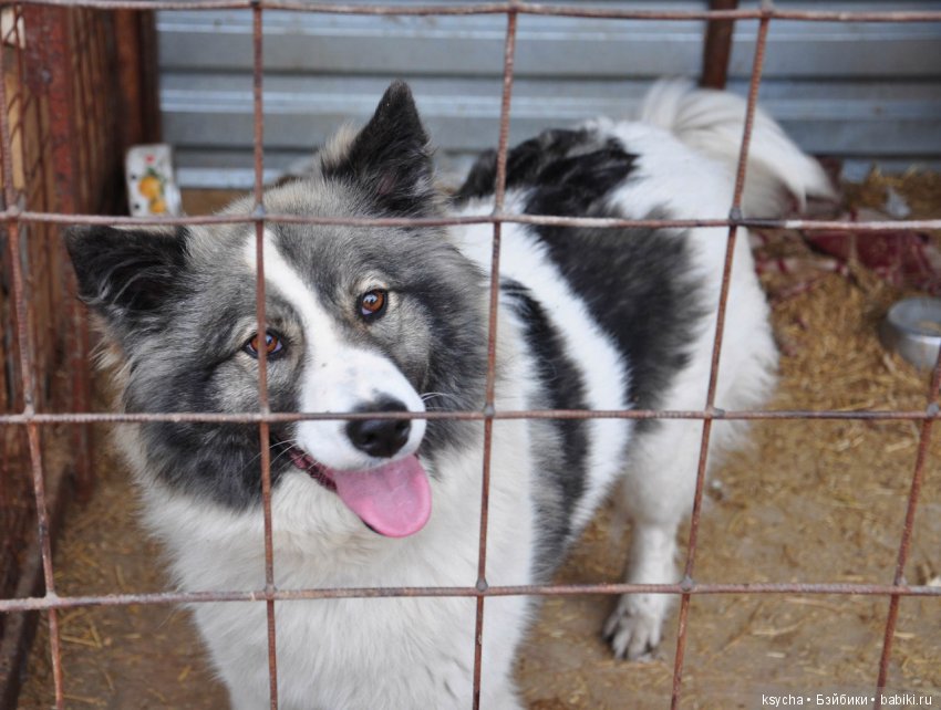 А у нас опять двадцать пять (фото 3)