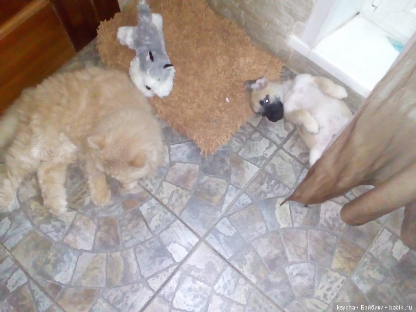 А у нас опять двадцать пять