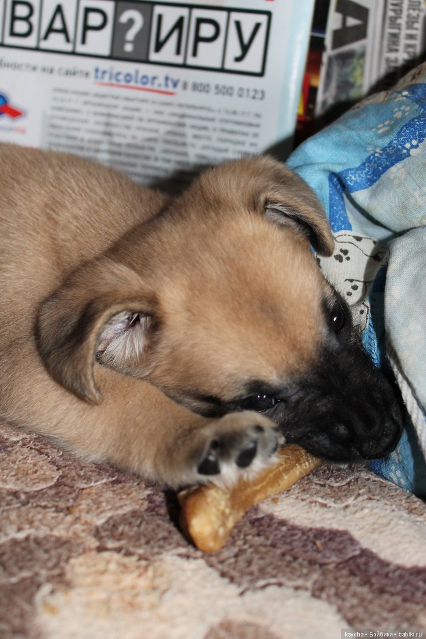 А у нас опять двадцать пять (фото 10)