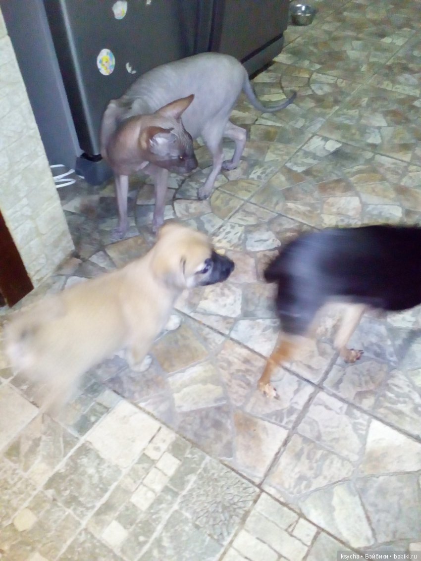 А у нас опять двадцать пять