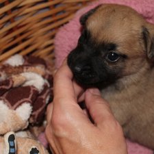 А у нас опять двадцать пять