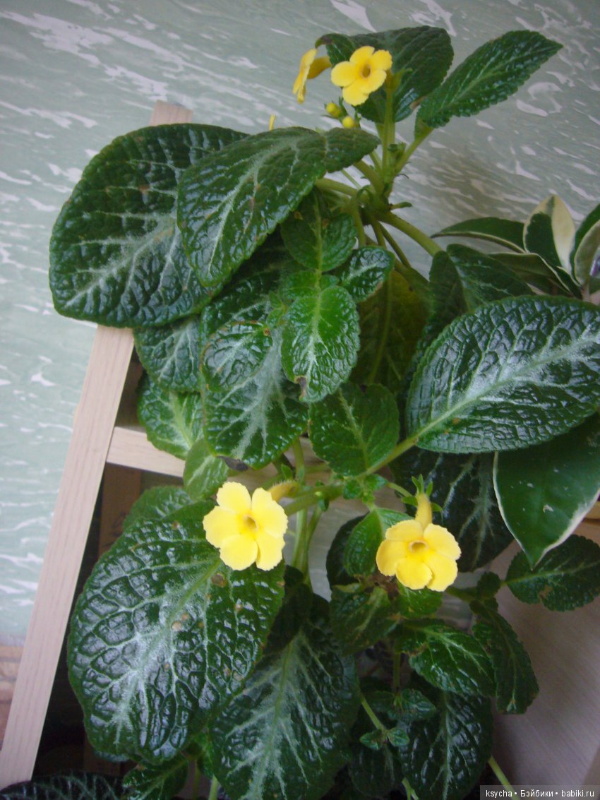 Мои красотки эписции — Болталка и разговоры обо всем: жизнь