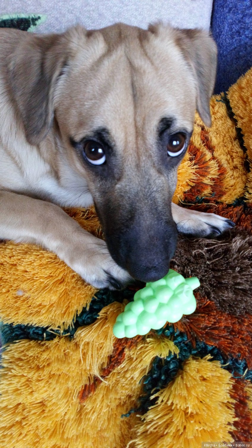 Наш Семён — Болталка и разговоры обо всем: жизнь