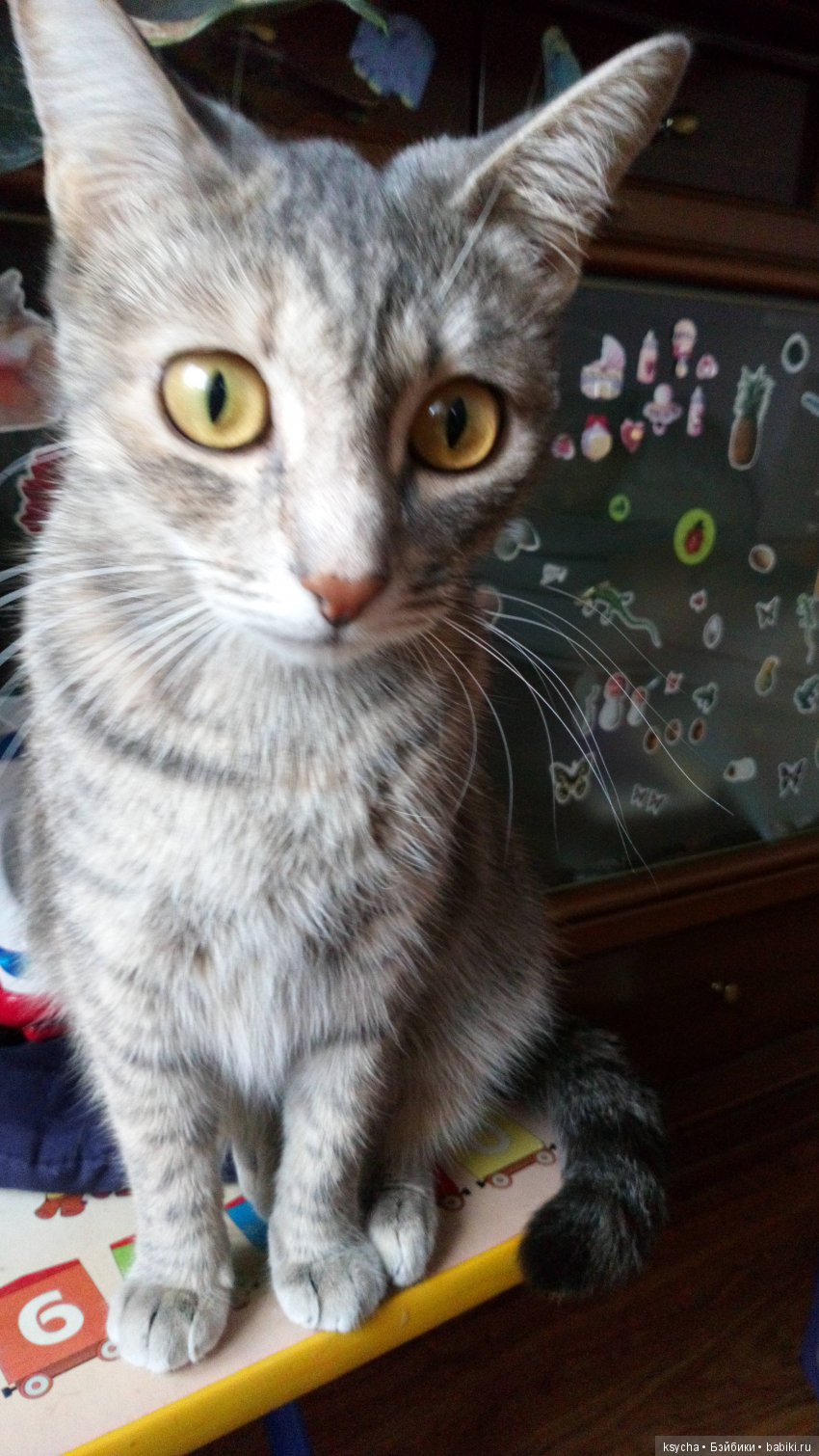 Наш Семён — Болталка и разговоры обо всем: жизнь (фото 5)