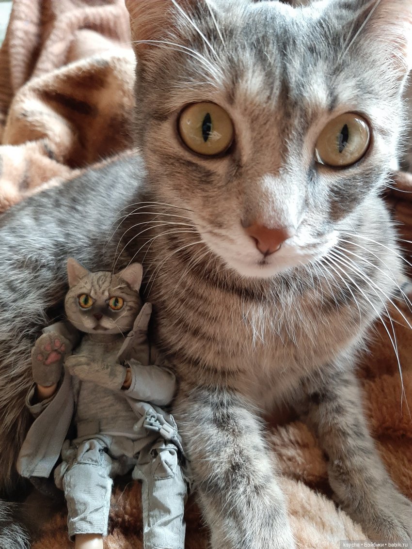 Я Васька... давайте знакомиться (фото 6)