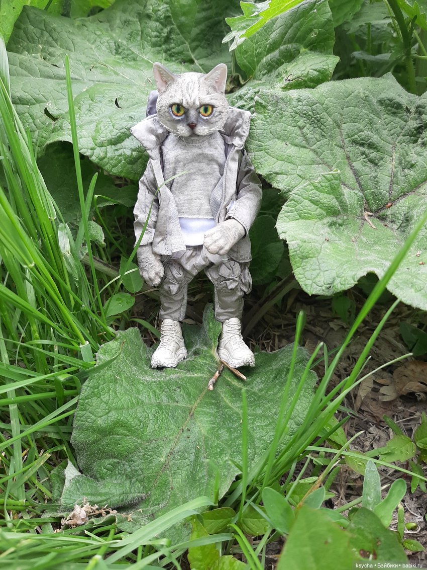 Я Васька... давайте знакомиться (фото 5)