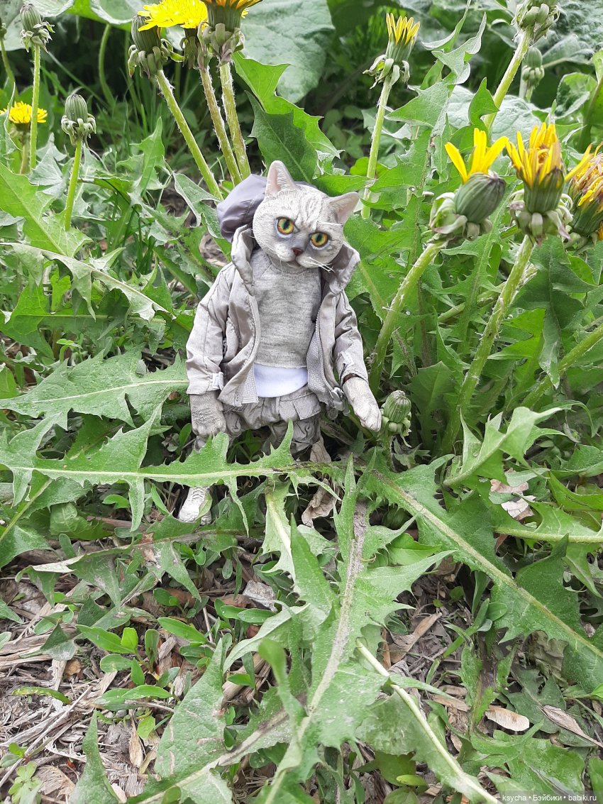 Я Васька... давайте знакомиться (фото 4)