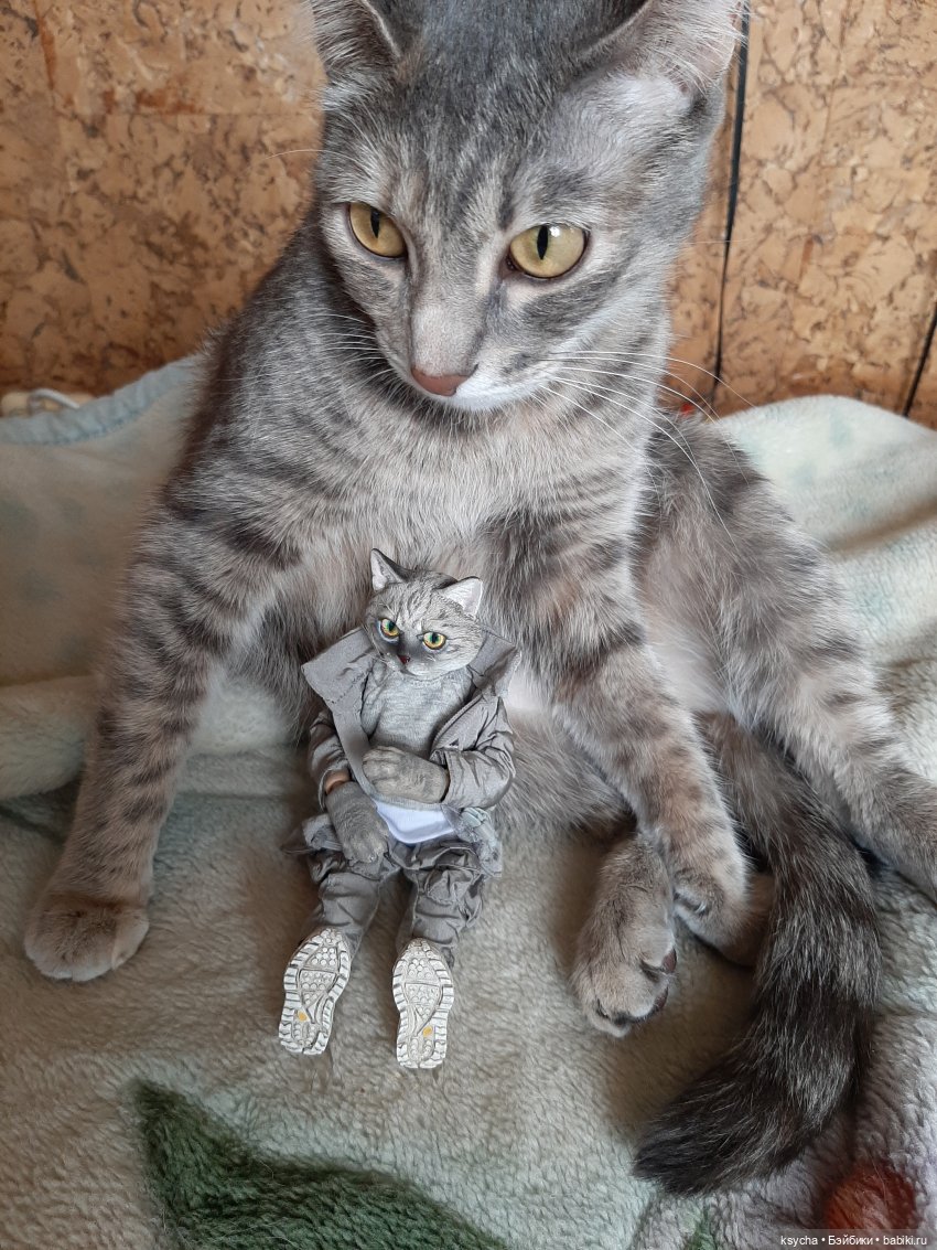 Я Васька... давайте знакомиться (фото 7)