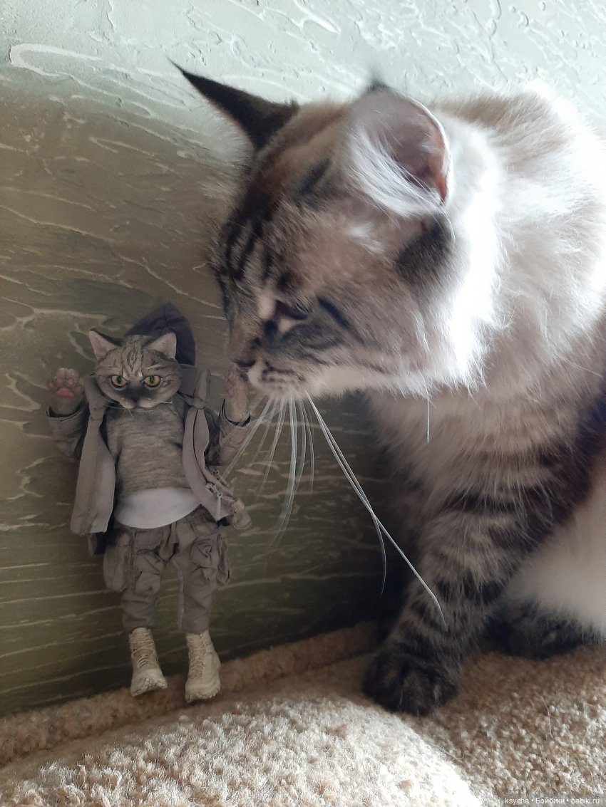 Васькина радость — Разные шарнирные куклы (не БЖД): редкие (фото 5)