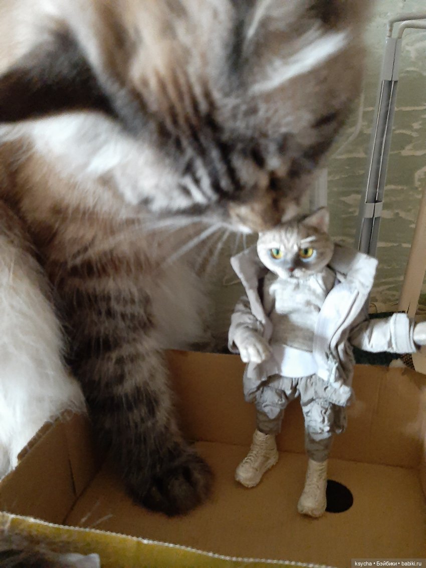 Васькина радость — Разные шарнирные куклы (не БЖД): редкие (фото 2)