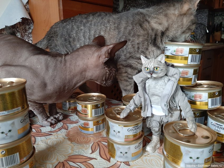 Васькина радость — Разные шарнирные куклы (не БЖД): редкие (фото 8)