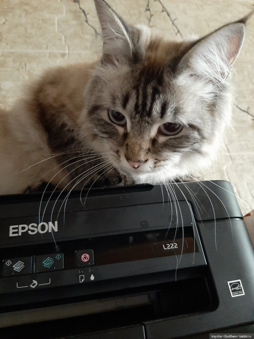 Васькина радость — Разные шарнирные куклы (не БЖД): редкие