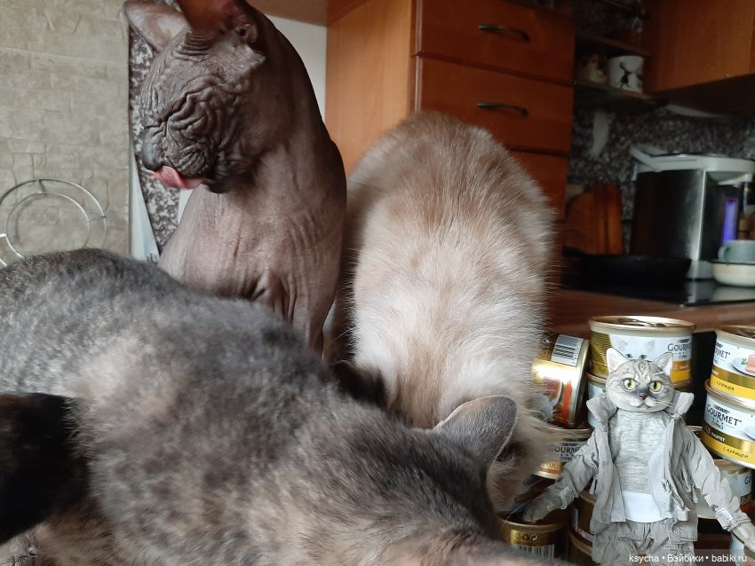 Васькина радость — Разные шарнирные куклы (не БЖД): редкие (фото 9)