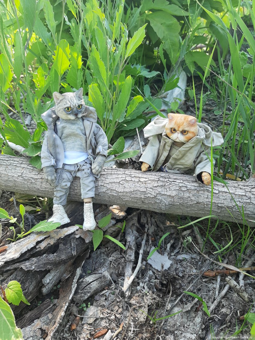 Василий и Григорий на прогулке (фото 2)