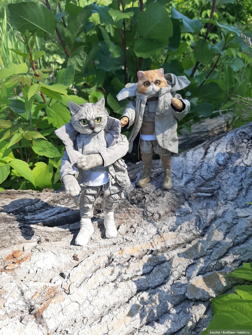 Василий и Григорий на прогулке (фото 4)