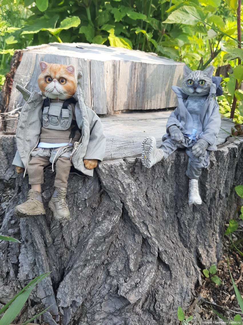 Василий и Григорий на прогулке (фото 7)