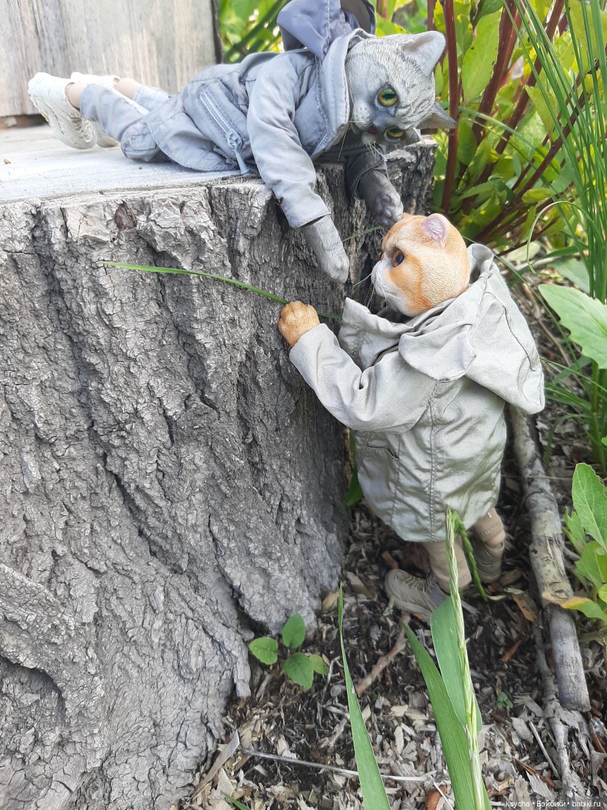 Василий и Григорий на прогулке (фото 6)