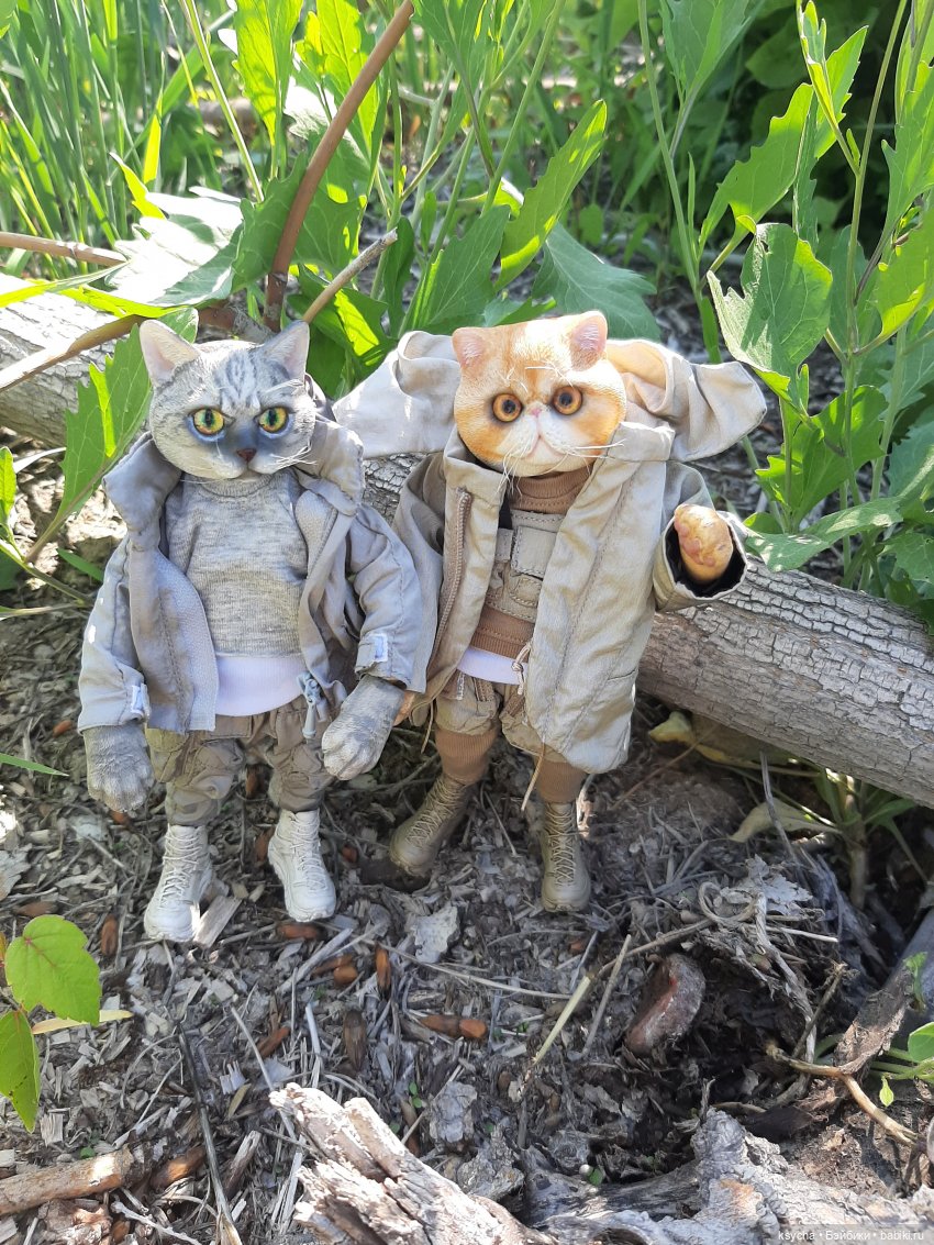 Василий и Григорий на прогулке (фото 3)