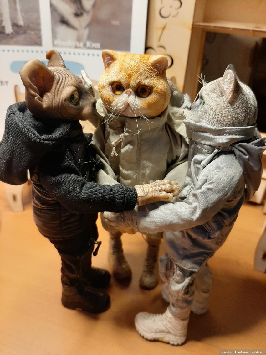 Мы её слепили из того, что было. Васька... Гришка... Феликс (фото 3)