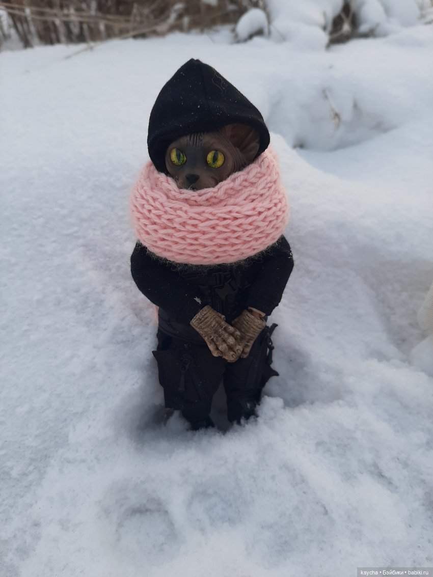 Мы её слепили из того, что было. Васька... Гришка... Феликс (фото 10)