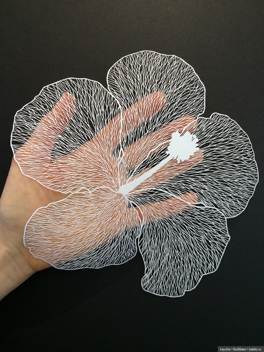 Бумажное кружево — Интересное и необычное: фотоподборки (фото 7)