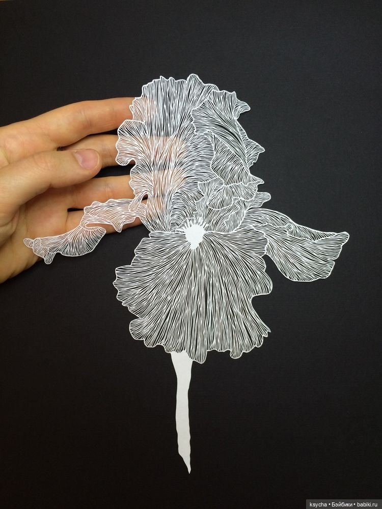 Бумажное кружево — Интересное и необычное: фотоподборки (фото 10)